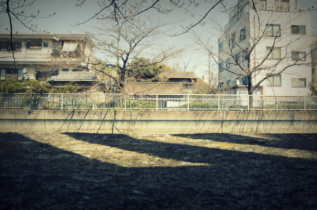 c0238097_22501018.jpg