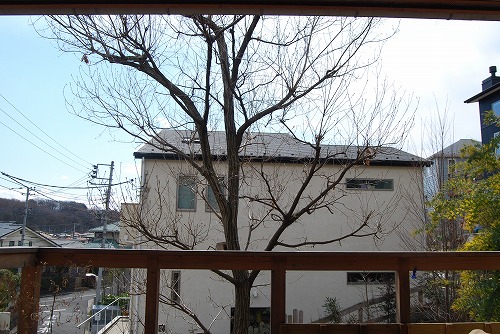 c0124100_034078.jpg
