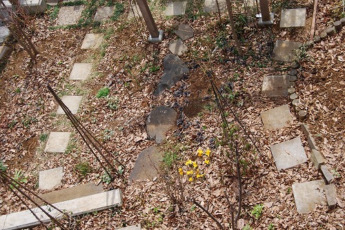 c0124100_04161.jpg
