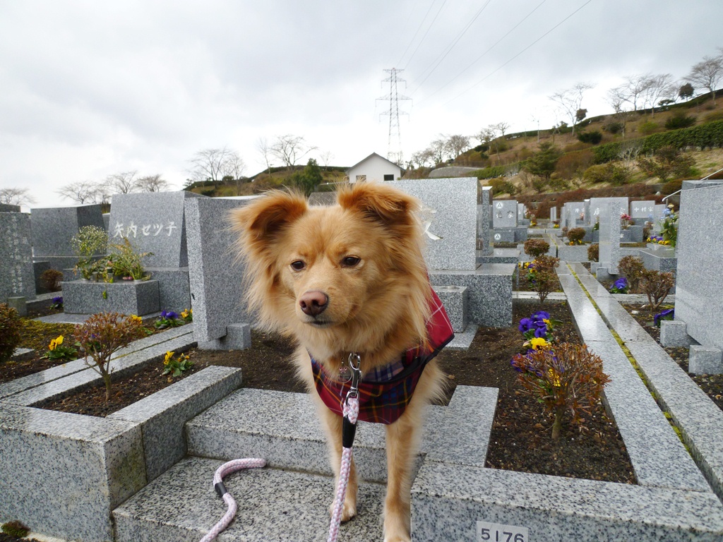 富士山への旅　1_e0200101_19425533.jpg