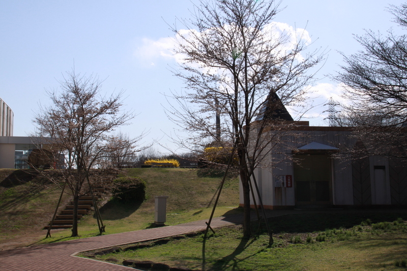 d0248502_2013568.jpg