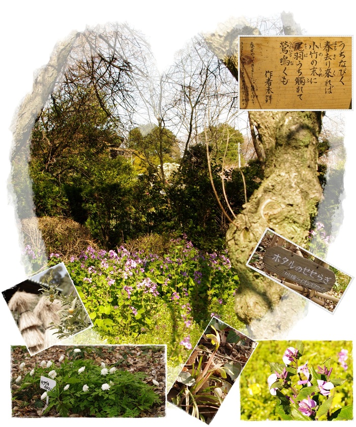 d0028304_15245643.jpg