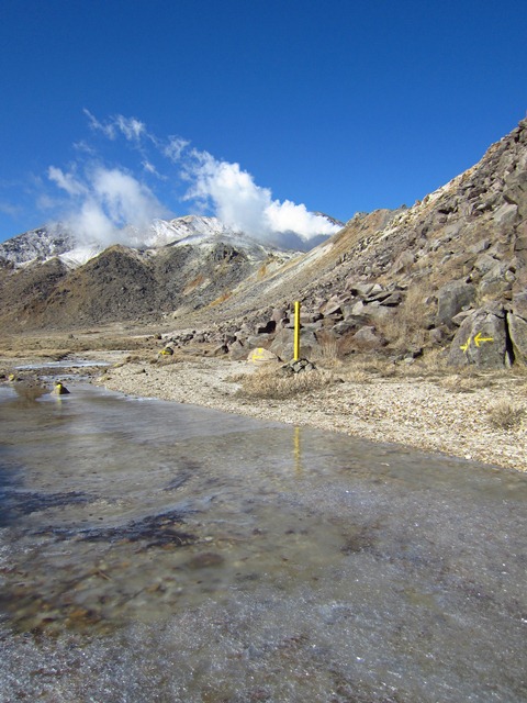 a0097006_23104216.jpg