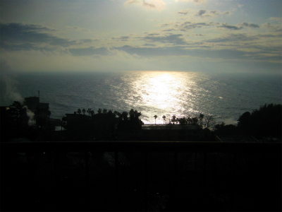 熱川温泉(23日~24日)_a0036808_1211467.jpg