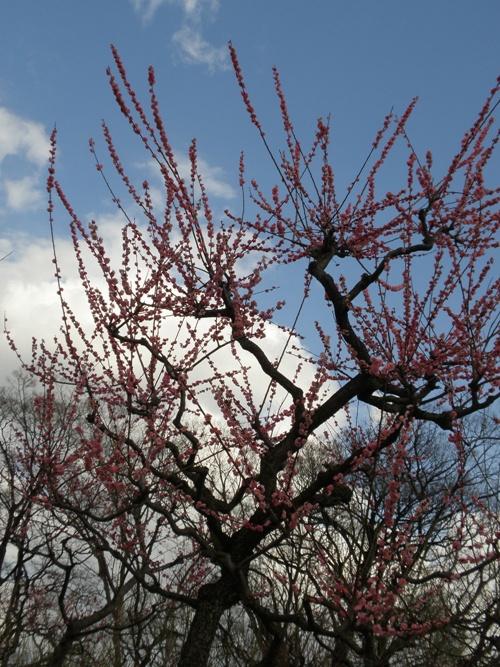 a0139908_2311314.jpg