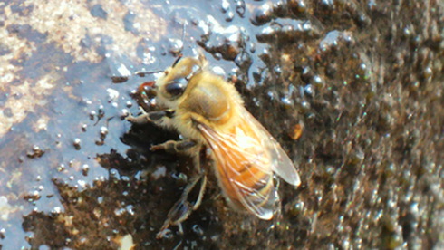d0238608_1244482.jpg