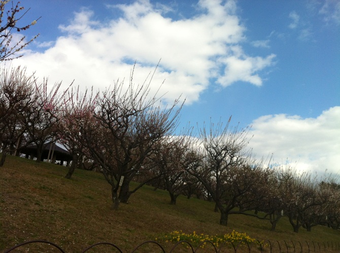 c0180209_20264347.jpg