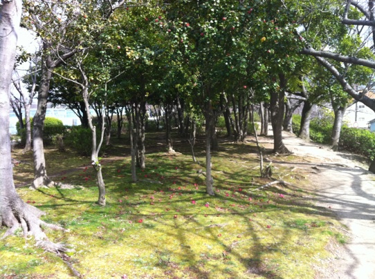 c0180209_20264366.jpg