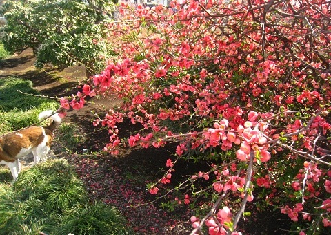 c0084117_21274612.jpg