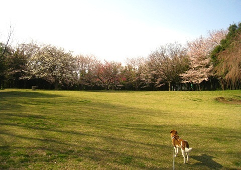 c0084117_2129759.jpg