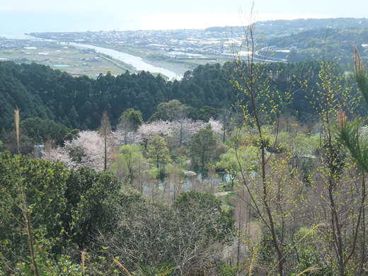 e0135518_126149.jpg
