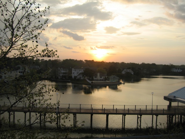 d0160719_12562825.jpg