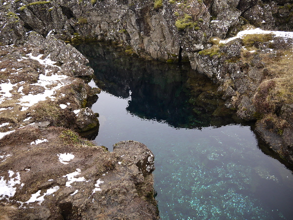 e0175123_23504749.jpg