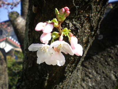a0238324_21305390.jpg