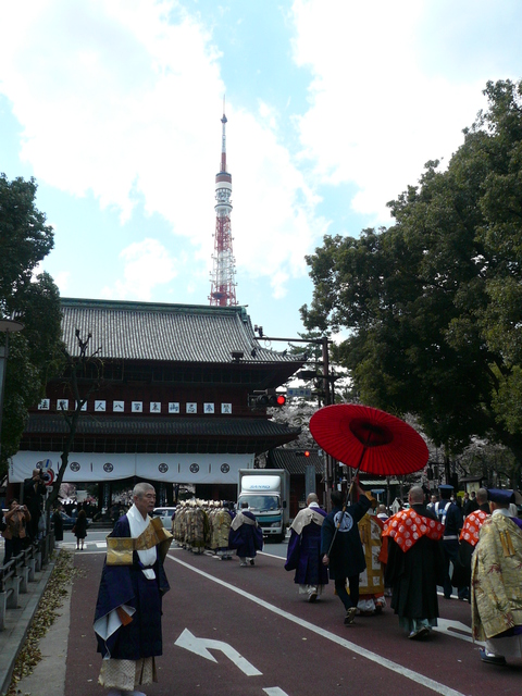 増上寺の桜と東京タワー_e0237625_22561027.jpg