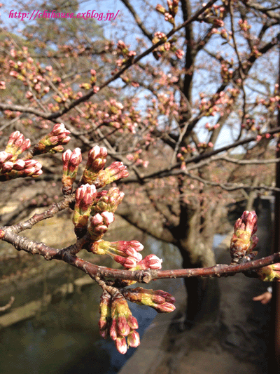 e0216427_22201116.gif