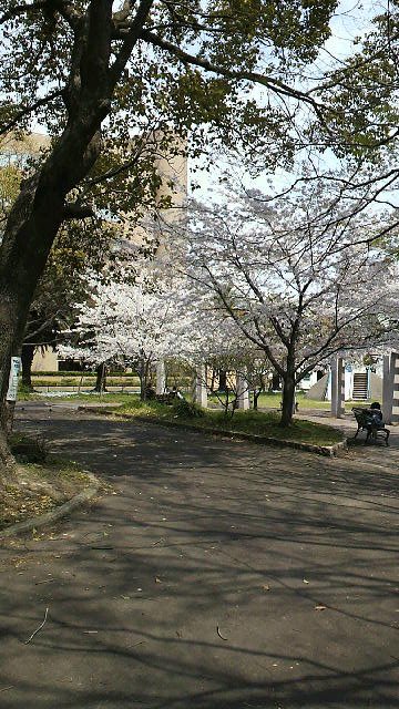 c0147830_17553166.jpg
