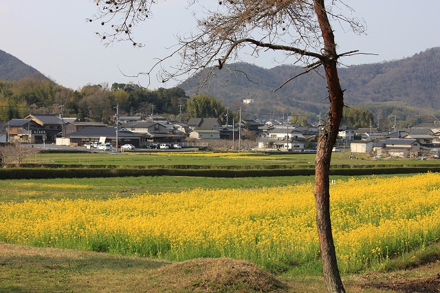 a0045932_1601145.jpg