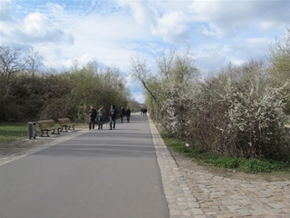 f0224632_14343543.jpg