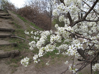 f0224632_14345651.jpg
