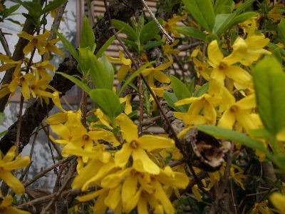 a0054240_20583057.jpg