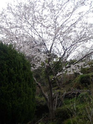 a0054240_21313030.jpg