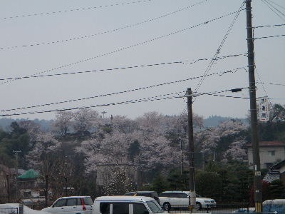 a0054240_21314831.jpg