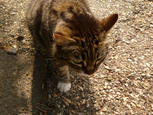 d0170140_0113830.jpg
