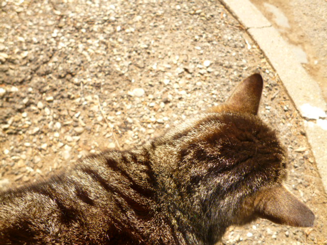 d0170140_0124525.jpg