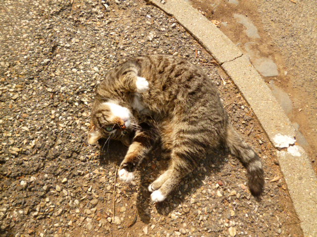 d0170140_0133042.jpg