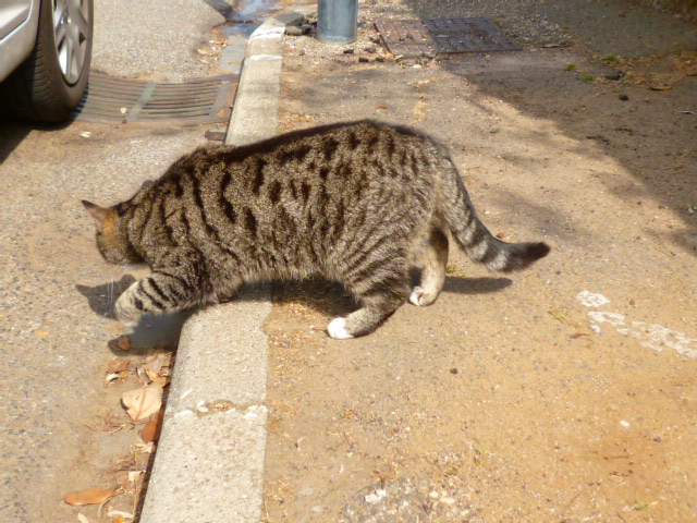 d0170140_0343775.jpg