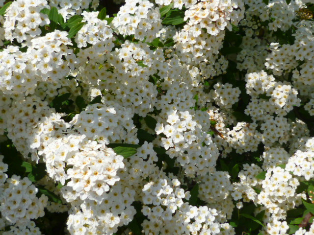 d0170140_047587.jpg