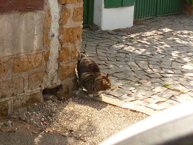 d0170140_09740.jpg