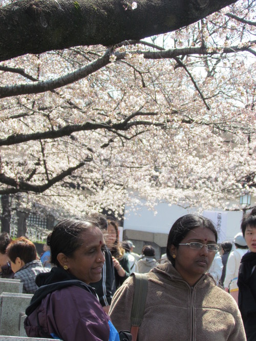 ４月７日　　何はともあれ、桜の追いかけです。_f0117041_16534340.jpg