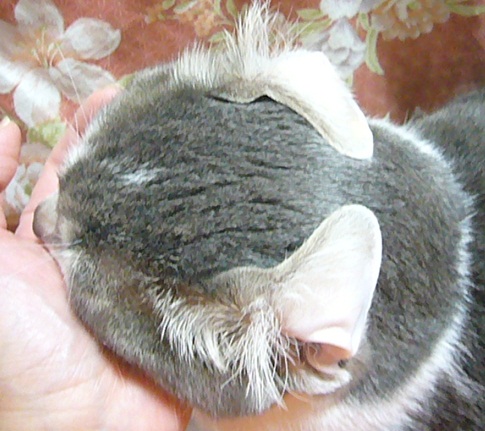 近況_f0002743_11423657.jpg