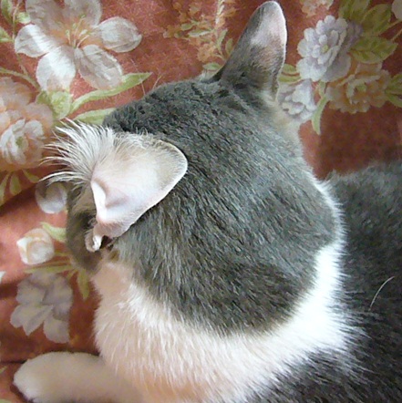近況_f0002743_11425593.jpg