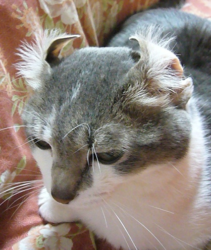 近況_f0002743_11434848.jpg