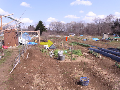 c0063348_226772.jpg