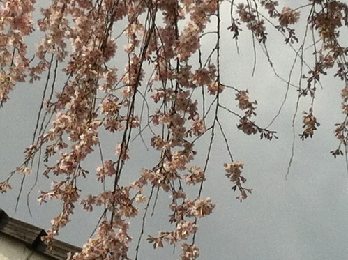 c0185356_1351528.jpg