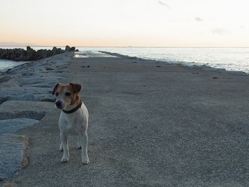 ある日の夕日_d0143957_20221100.jpg