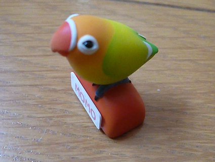 春のボタンインコ祭_e0147757_23385442.jpg