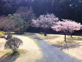 常磐神社_a0153658_1665121.jpg