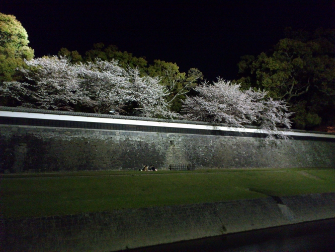 長塀通りの桜はまだ見頃　そして大切畑ダムの桜も満開じゃ_b0123359_20125318.jpg