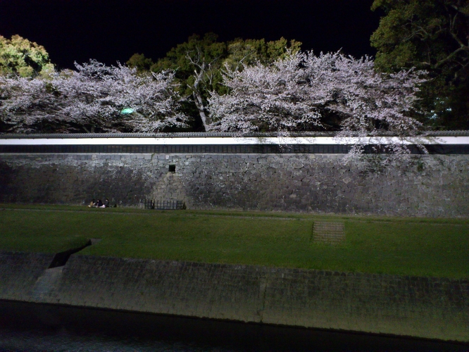 長塀通りの桜はまだ見頃　そして大切畑ダムの桜も満開じゃ_b0123359_201846100.jpg