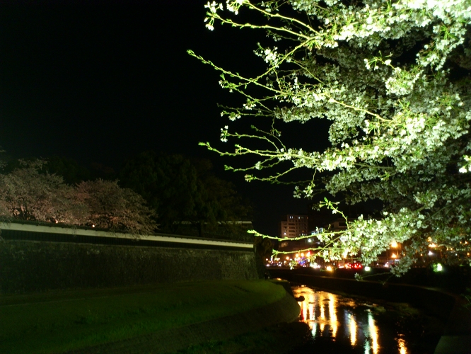 長塀通りの桜はまだ見頃　そして大切畑ダムの桜も満開じゃ_b0123359_20235585.jpg