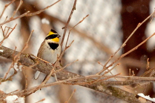 b0165760_20116100.jpg