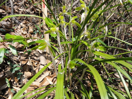 c0108460_15204072.jpg