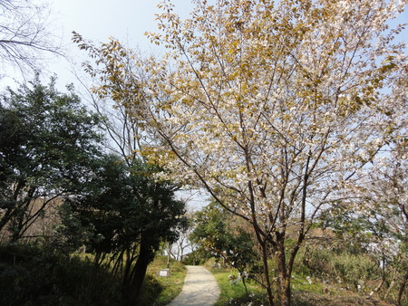 c0108460_1521327.jpg