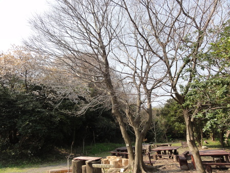 c0108460_15215962.jpg