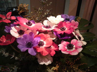 f0133566_2252623.jpg
